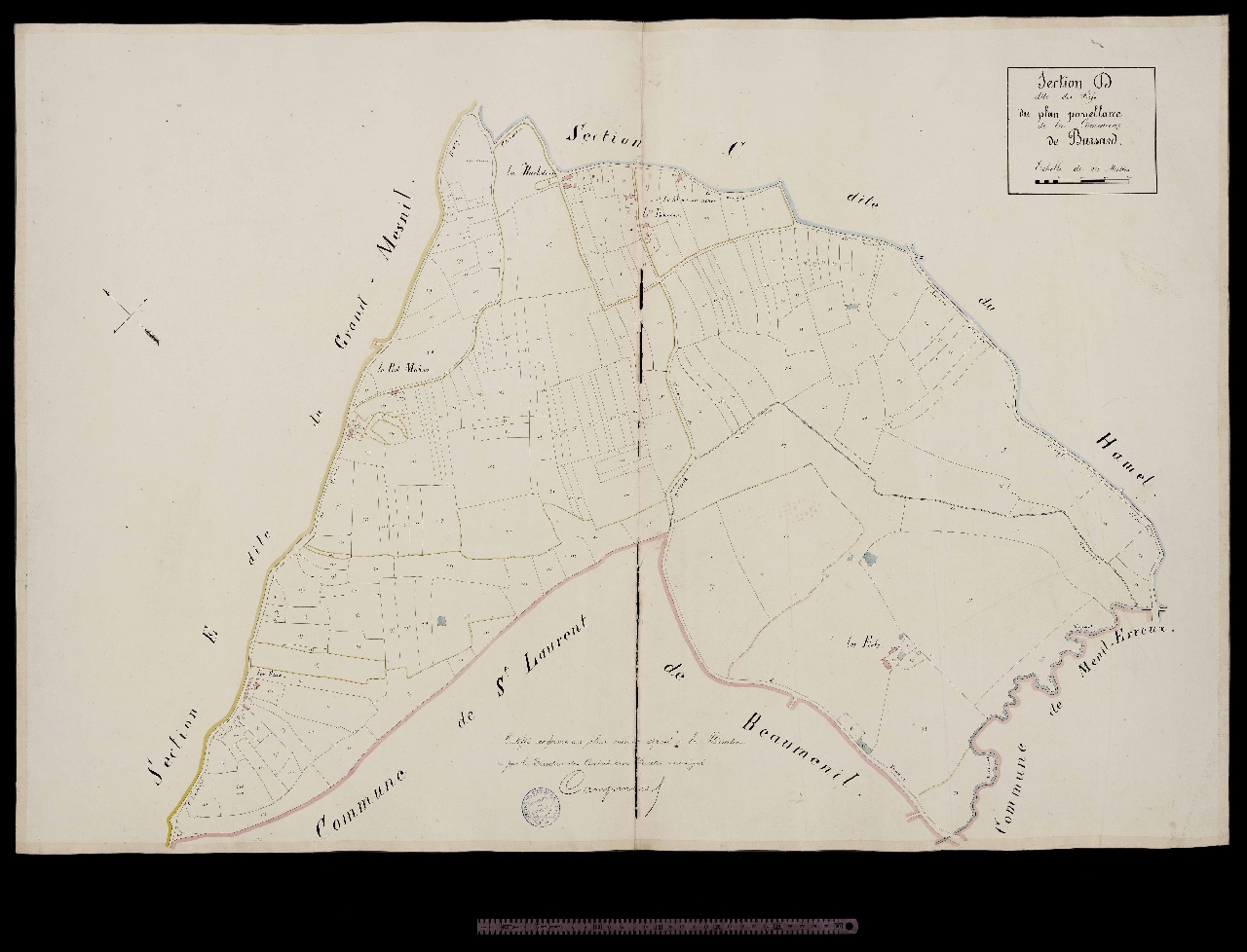 Section D