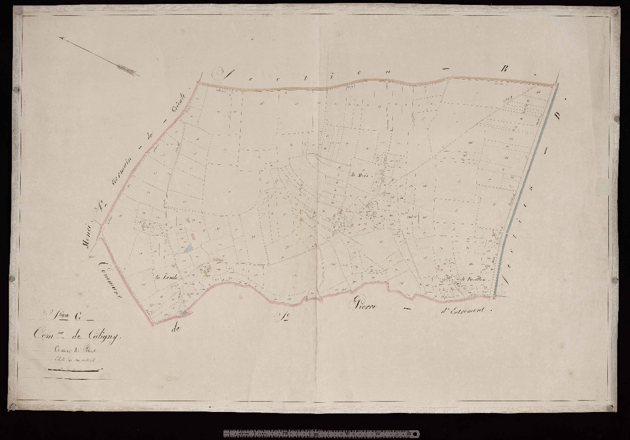 Section C