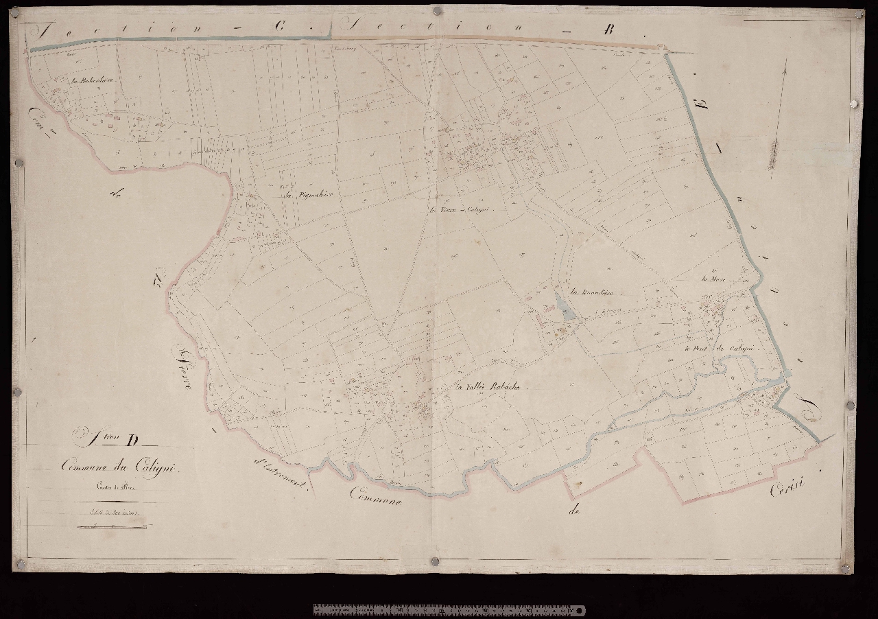 Section D