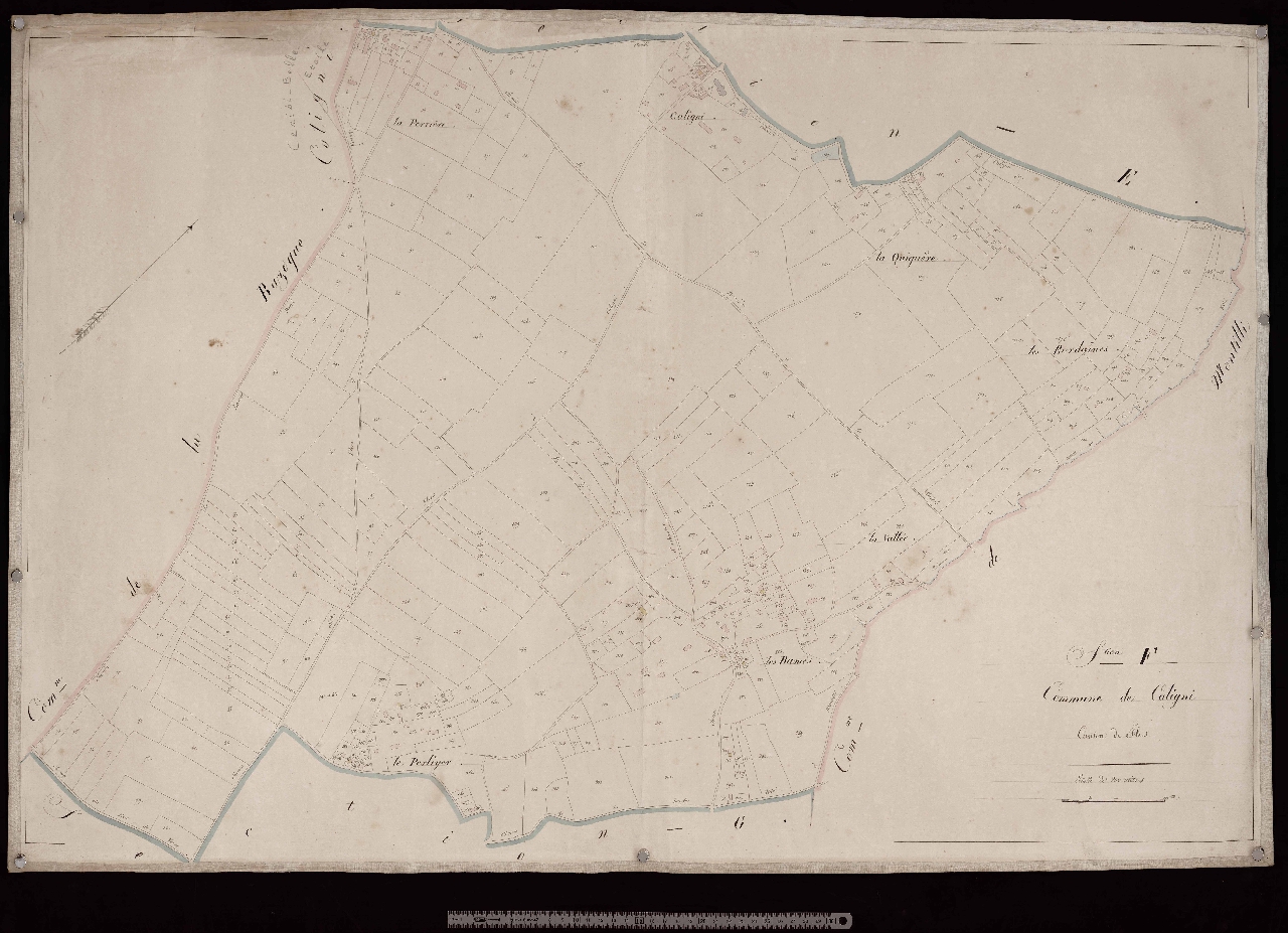 Section F