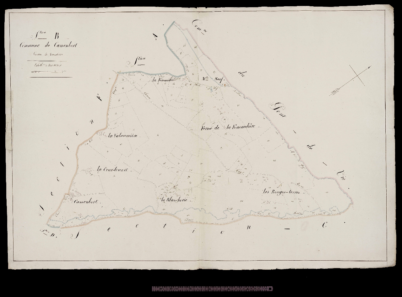 Section B