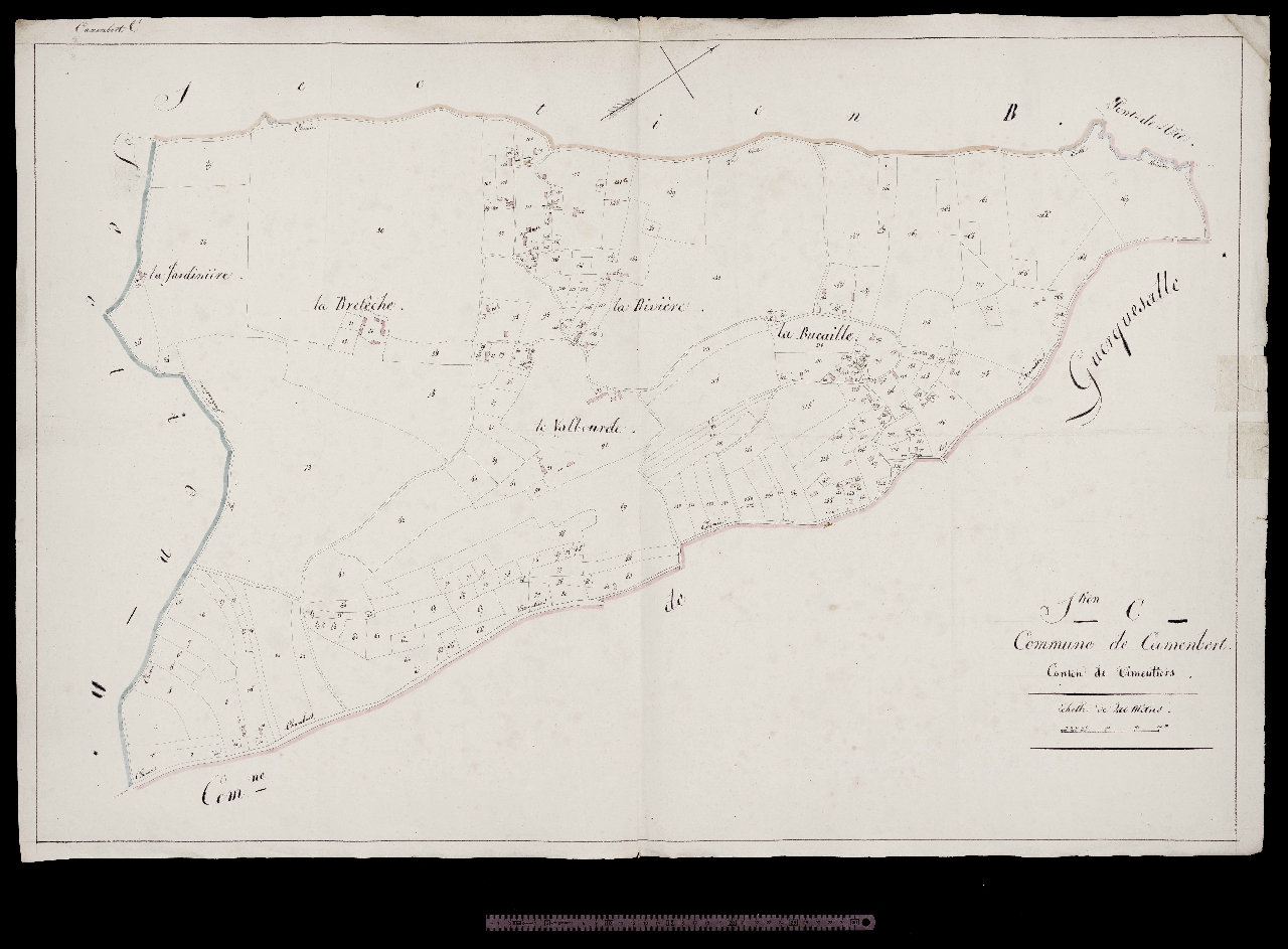 Section C