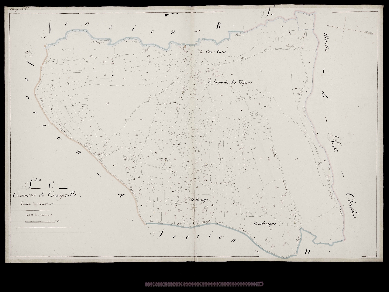 Section C