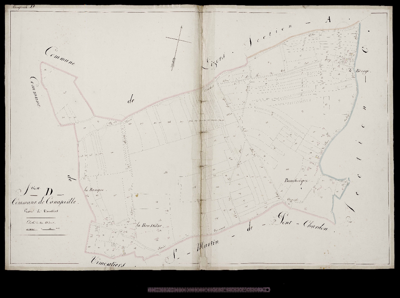 Section D