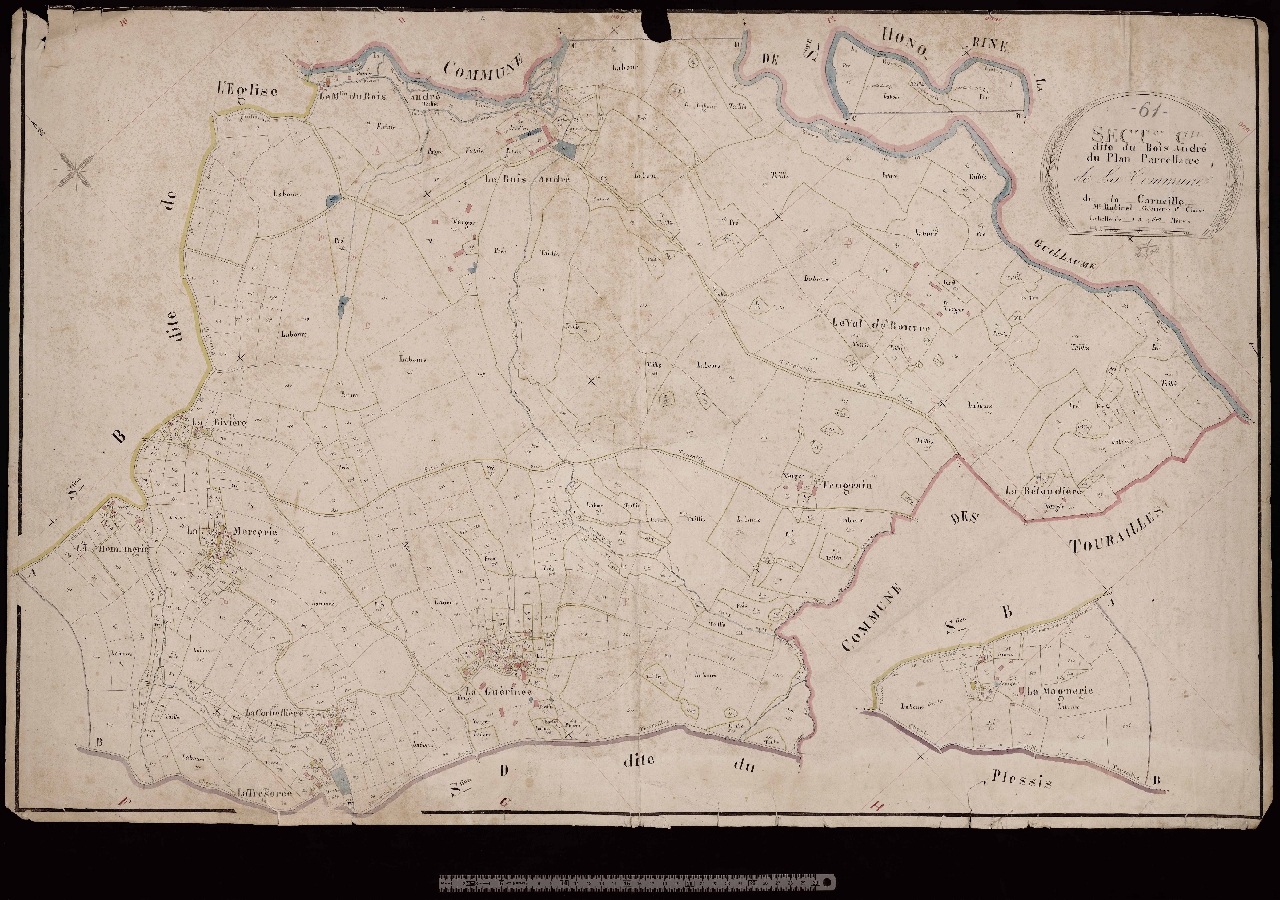 Section C
