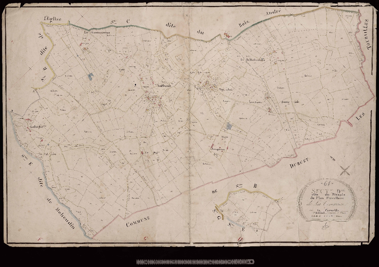 Section D