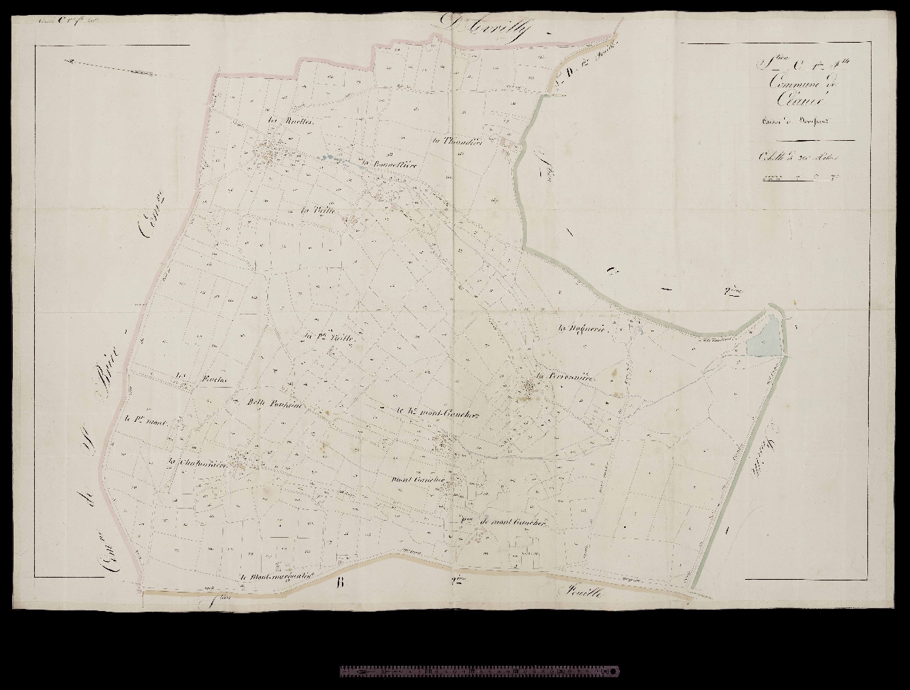 Section C1