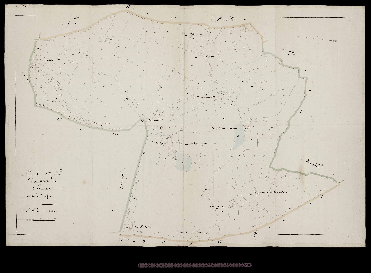Section C2
