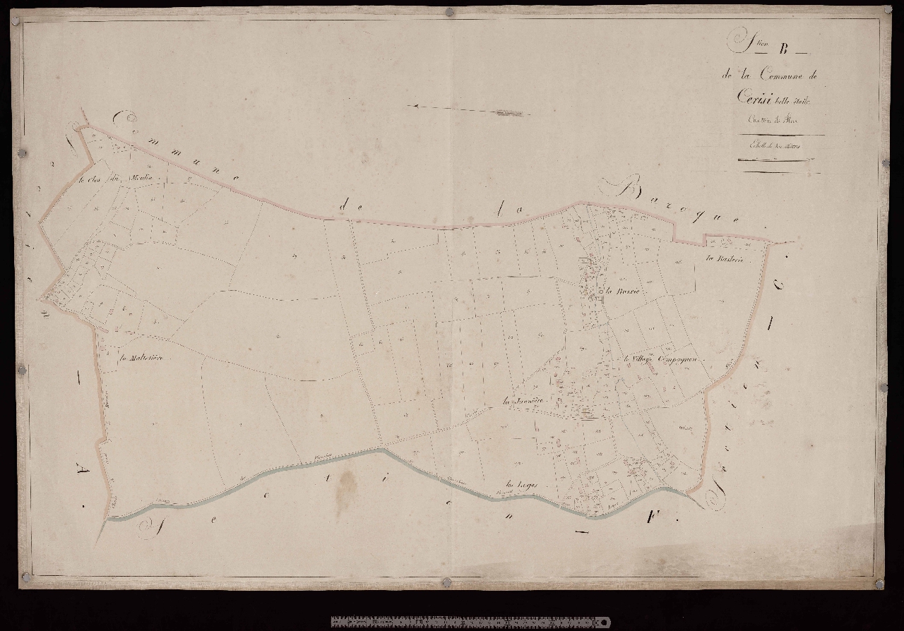 Section B