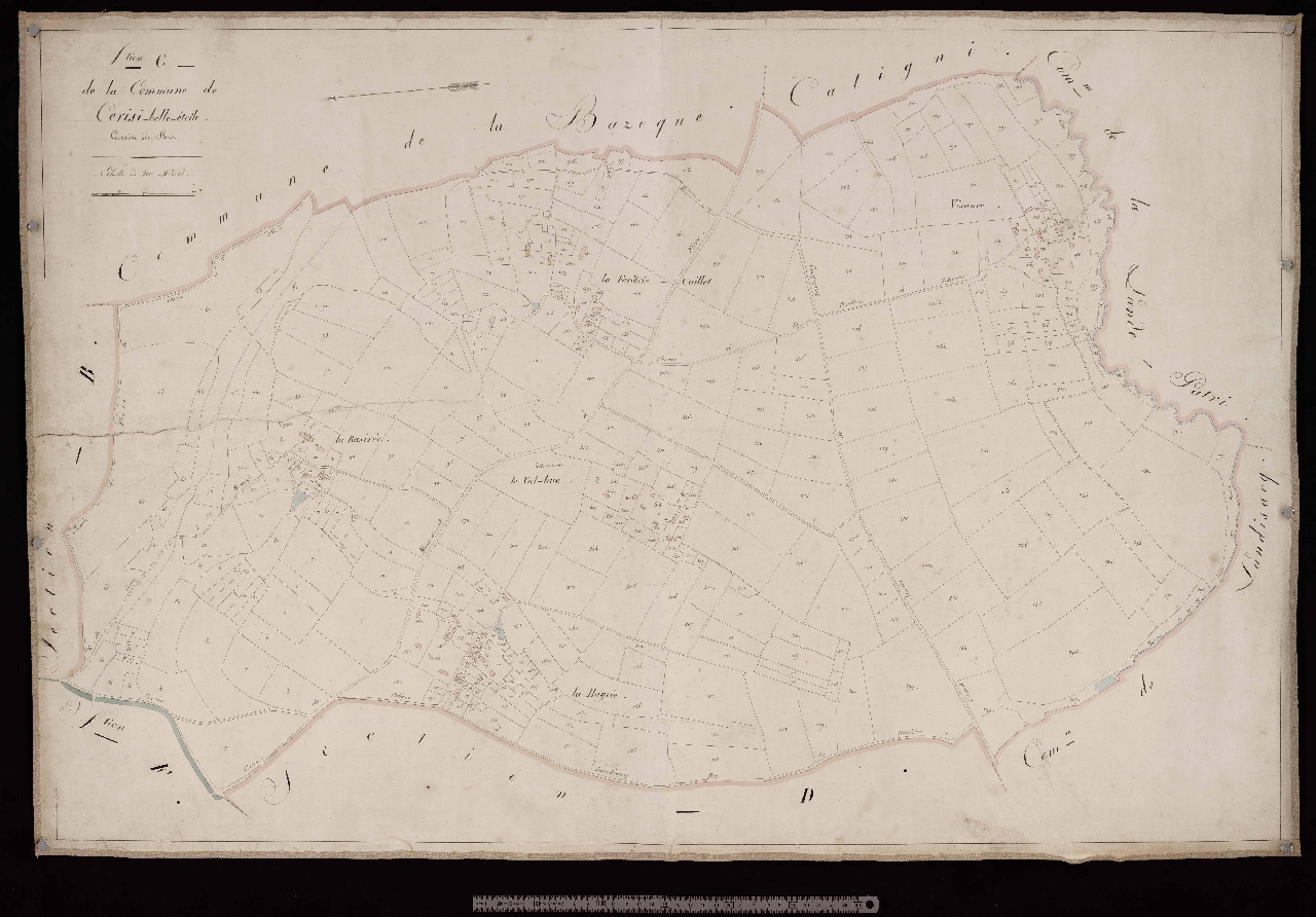 Section C
