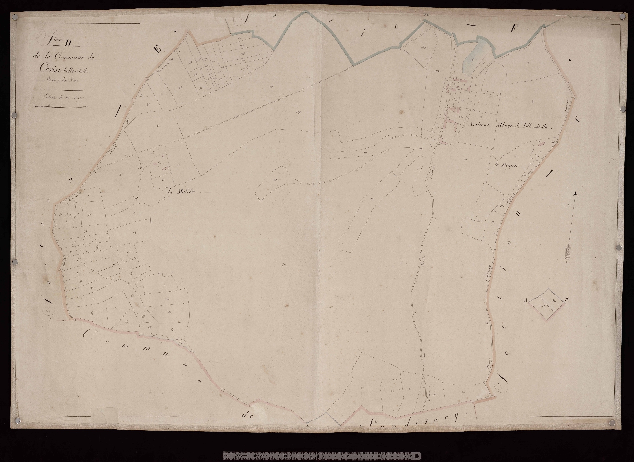 Section D