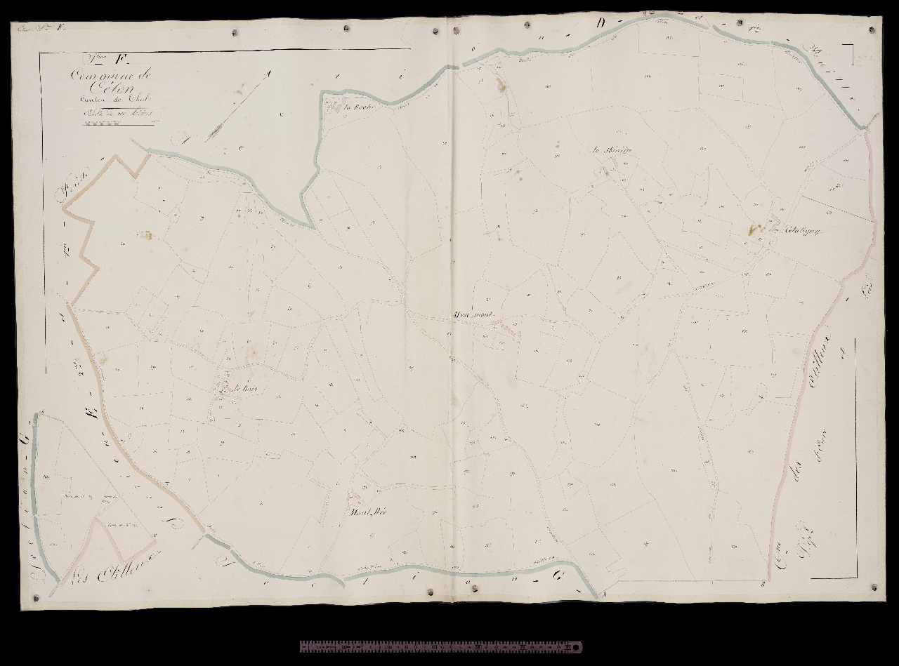 Section F