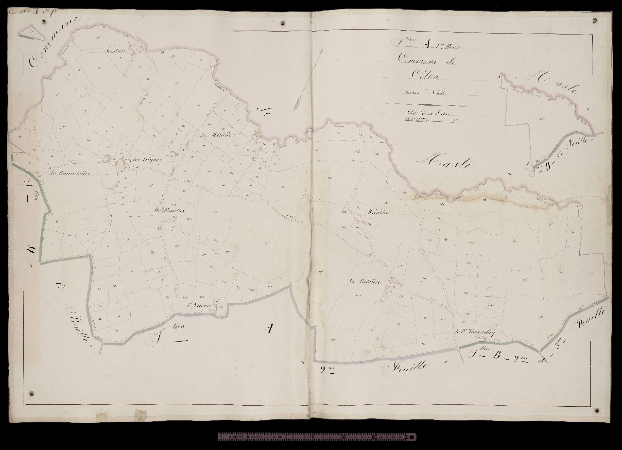 Section A1
