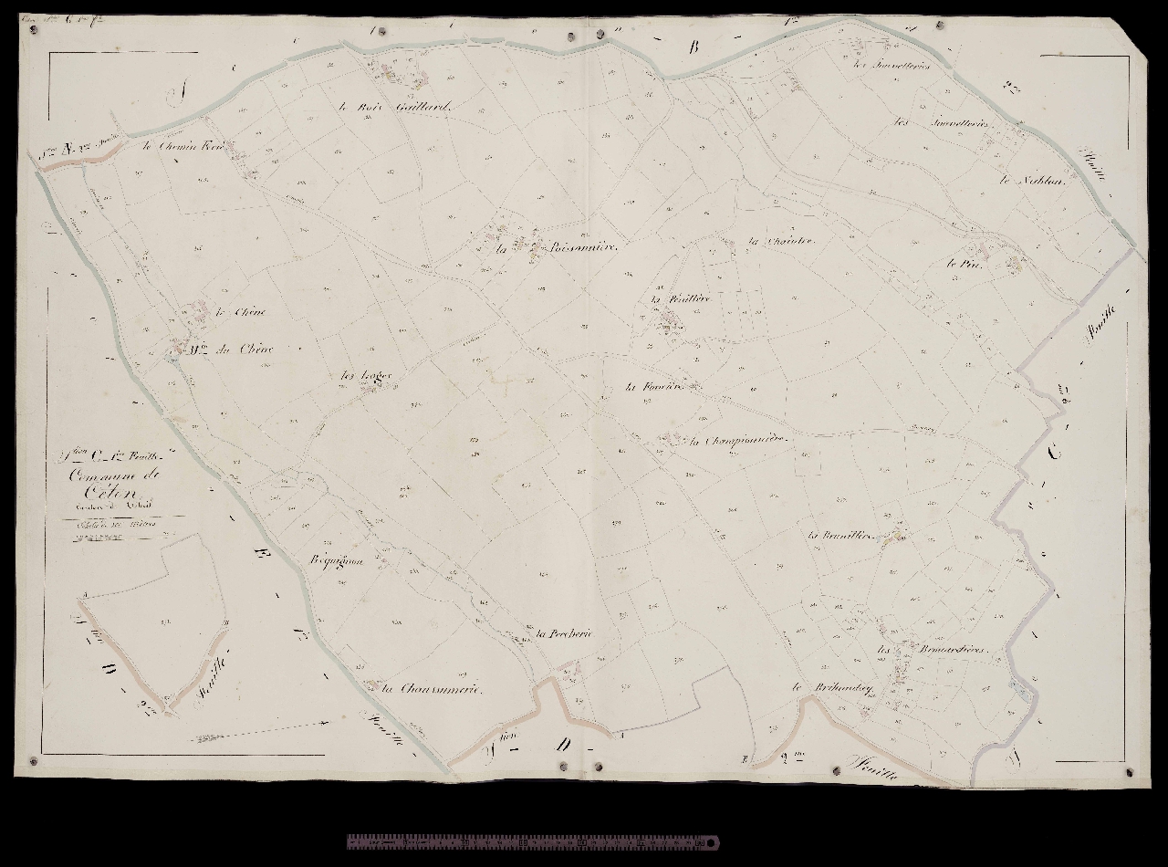 Section C1