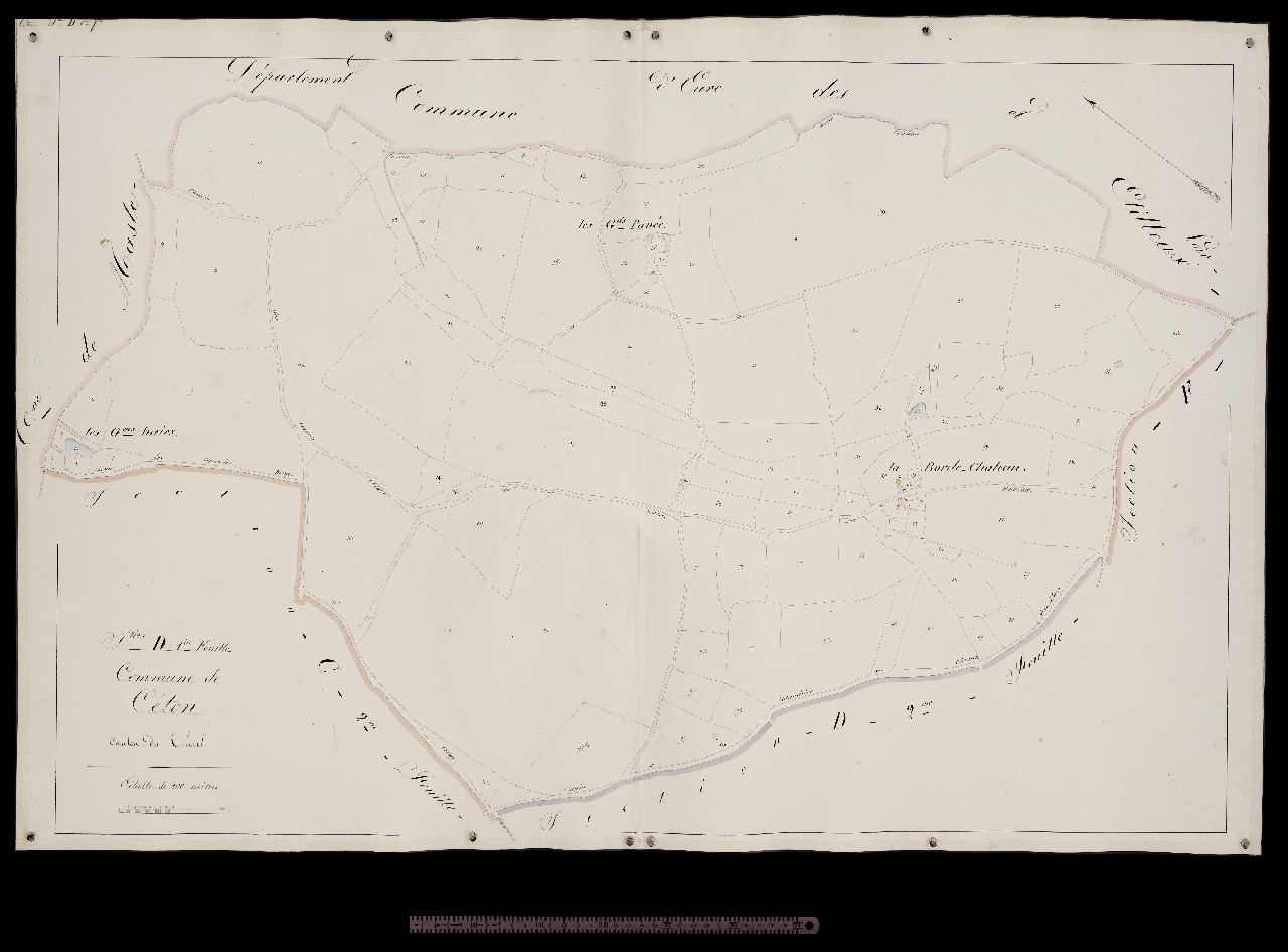 Section D1