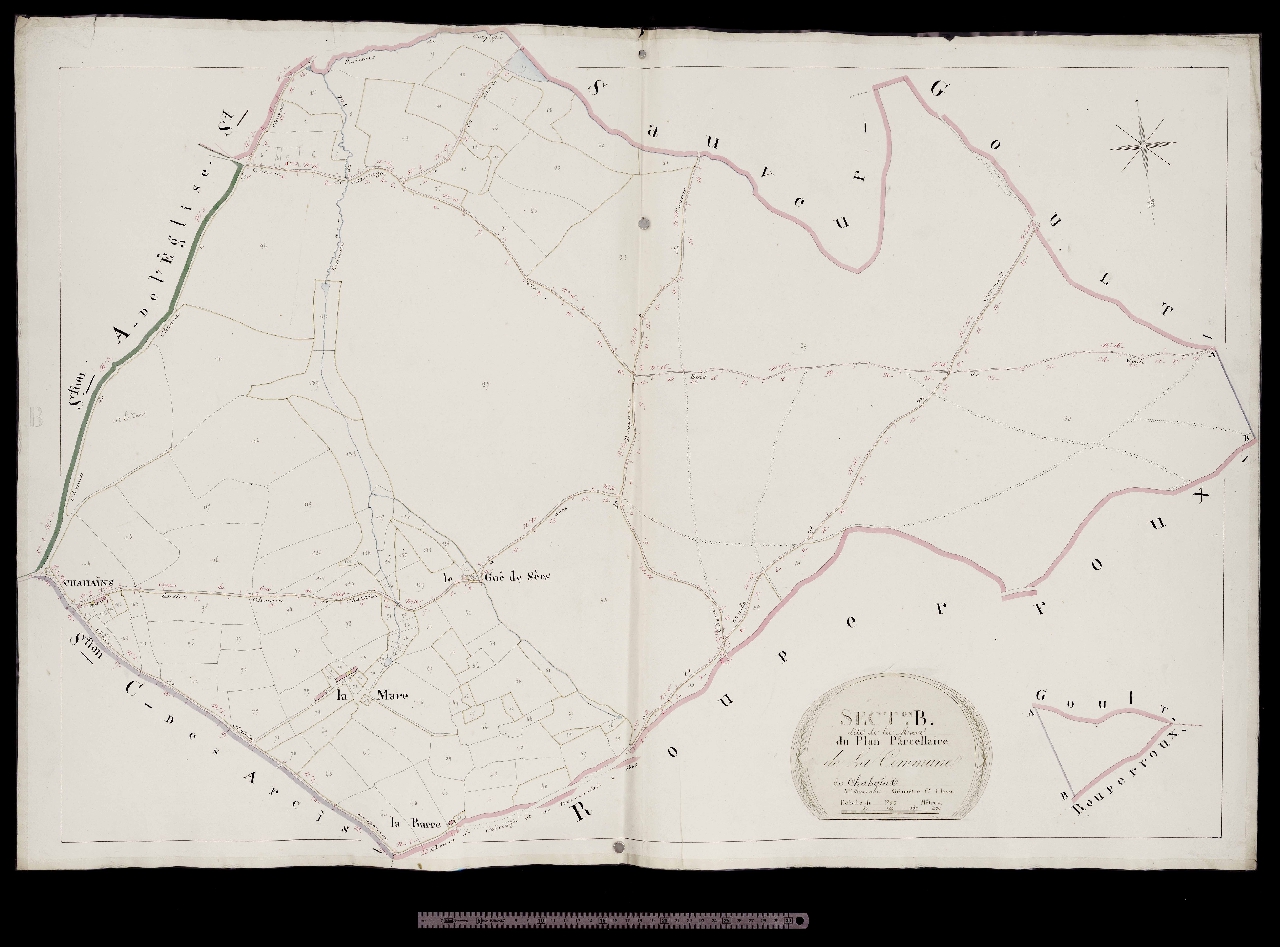 Section B