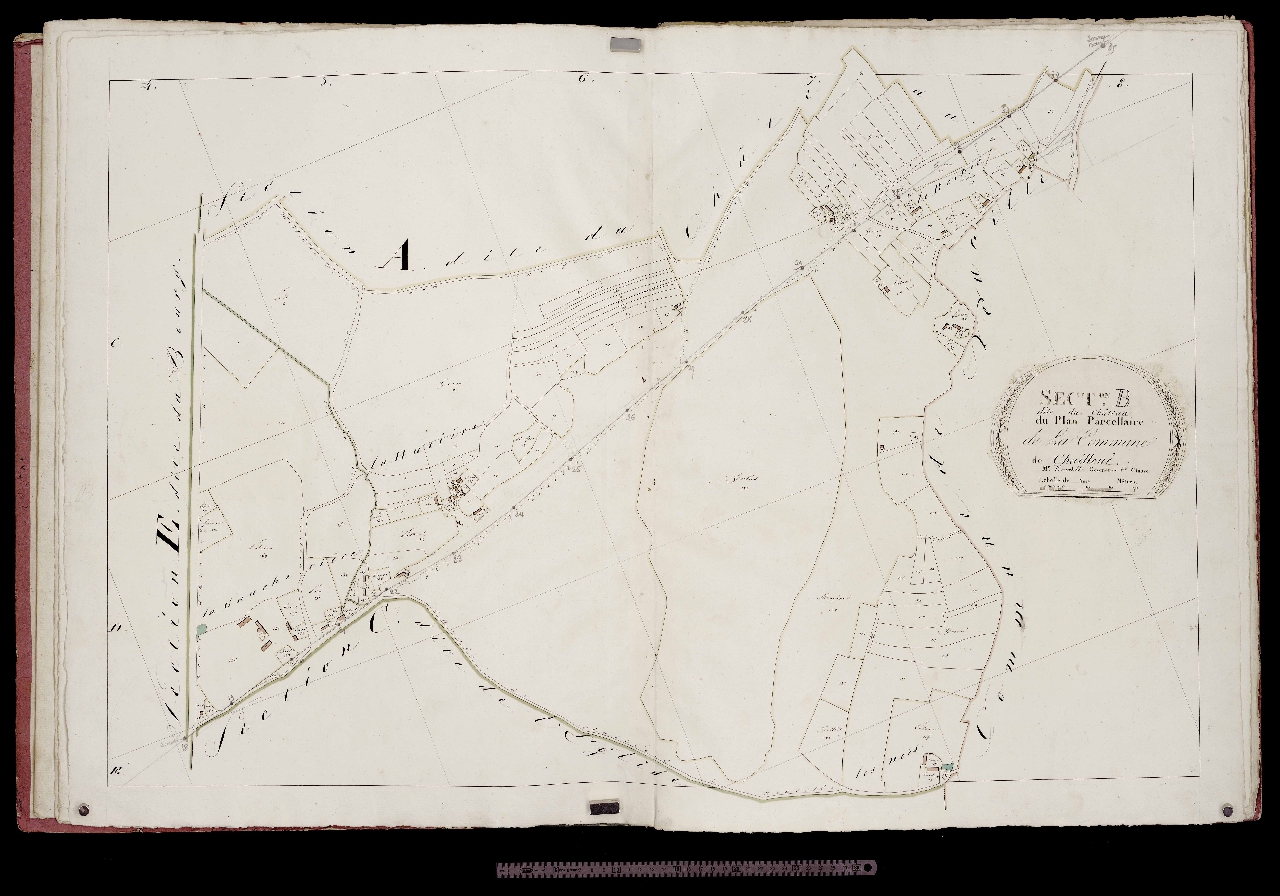 Section B
