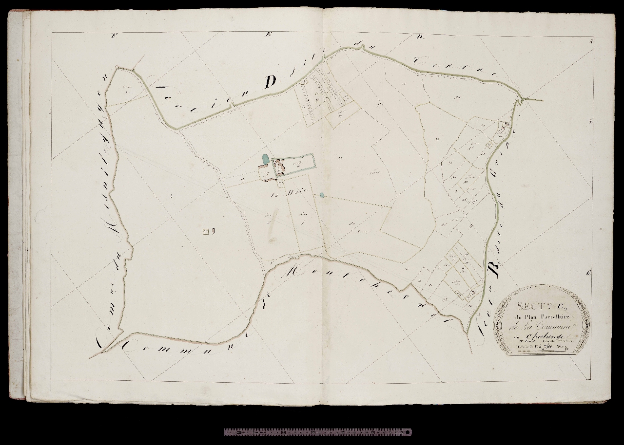 Section C