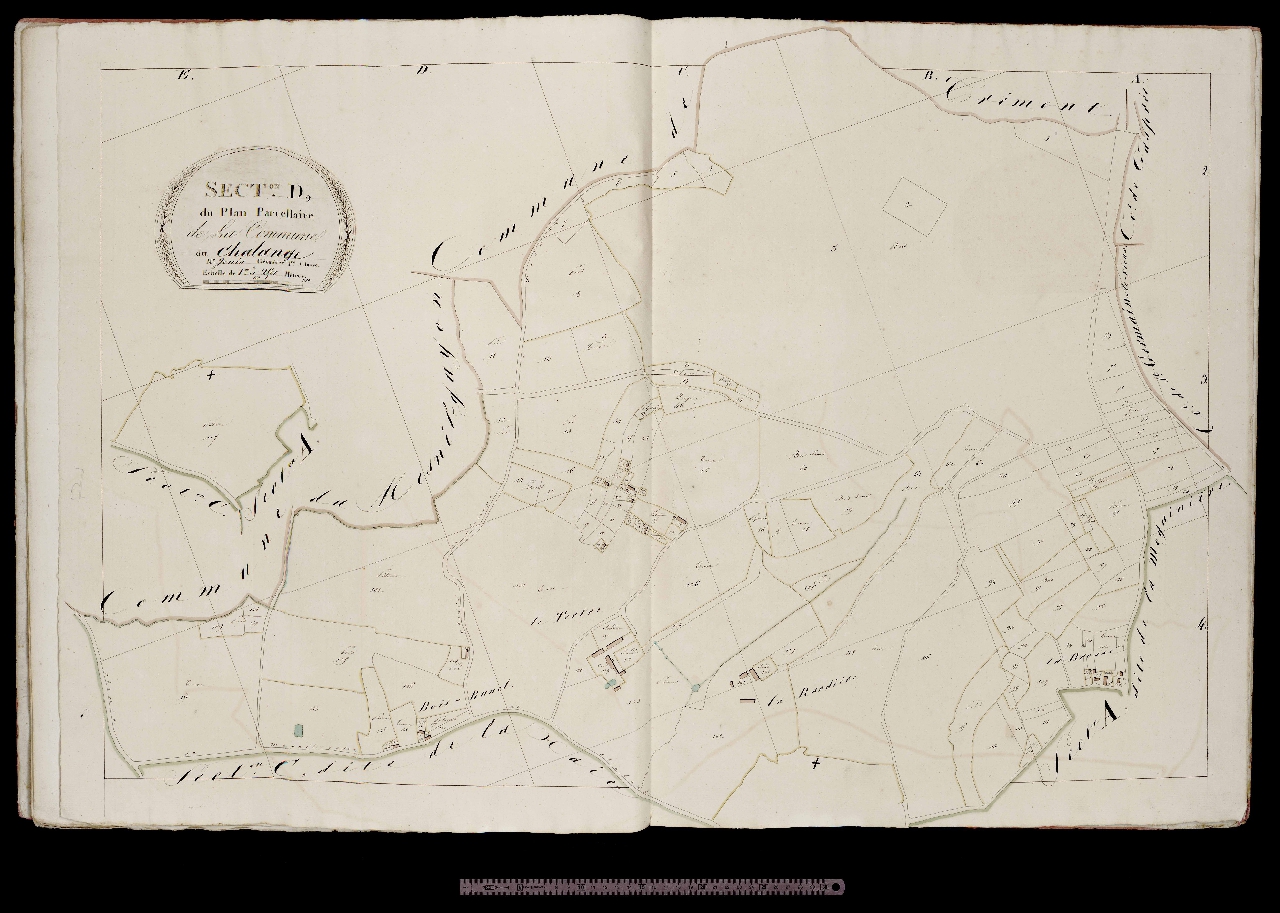 Section D