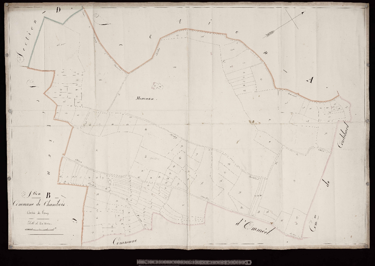 Section B