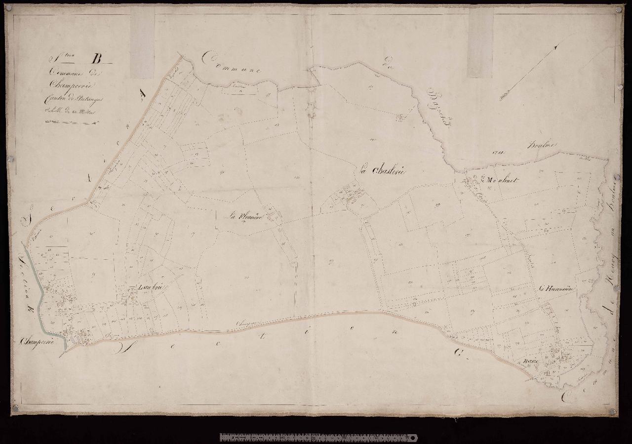 Section B