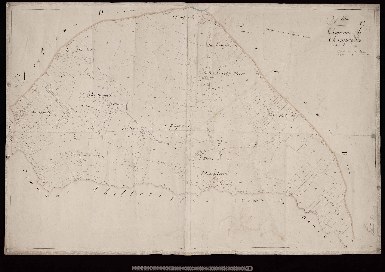 Section C