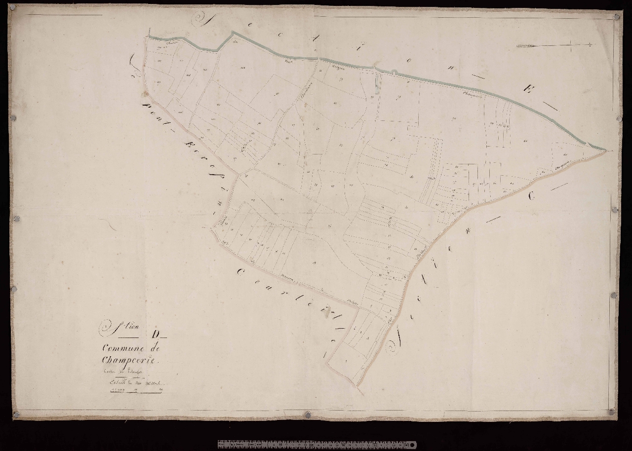 Section D