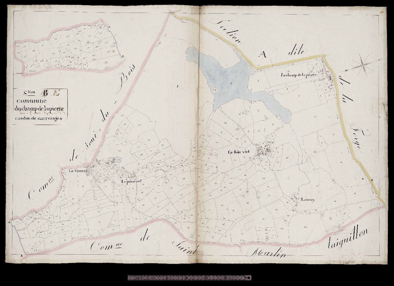Section B