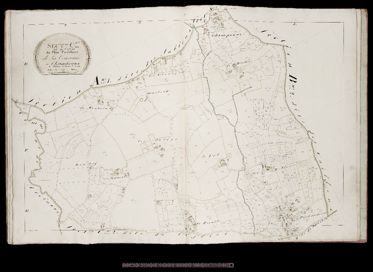 Section C1