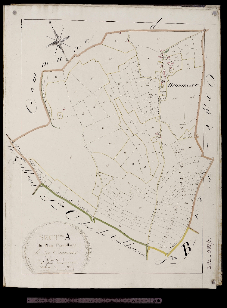 Section A