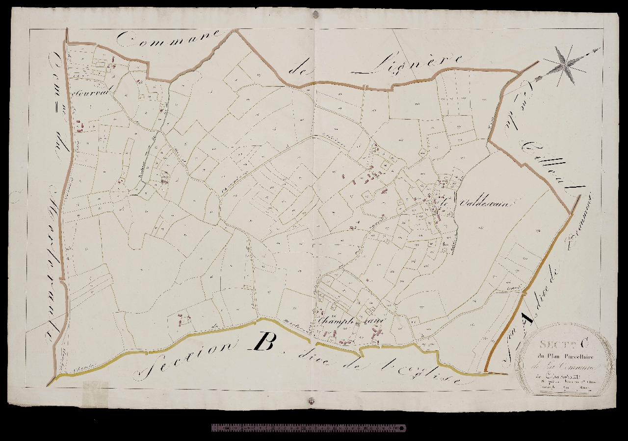 Section C