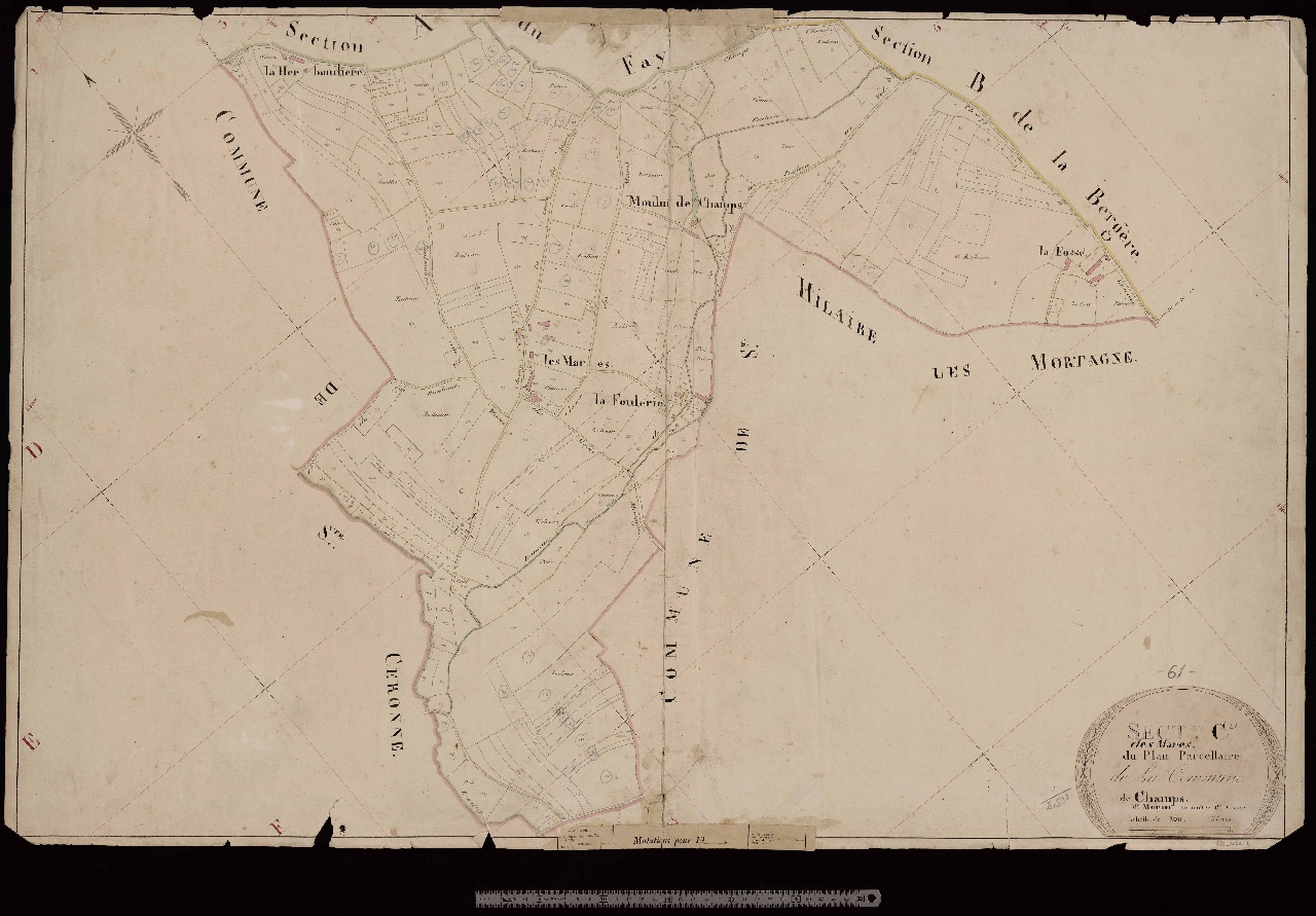 Section C