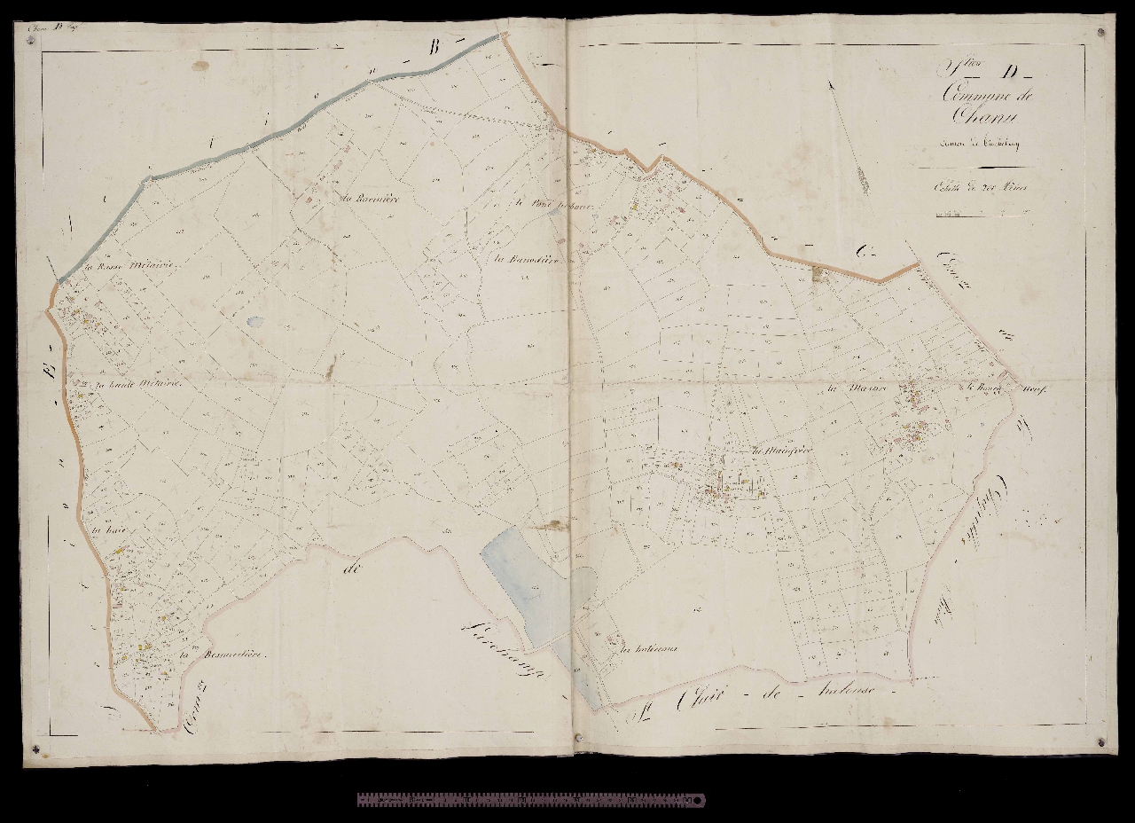 Section D