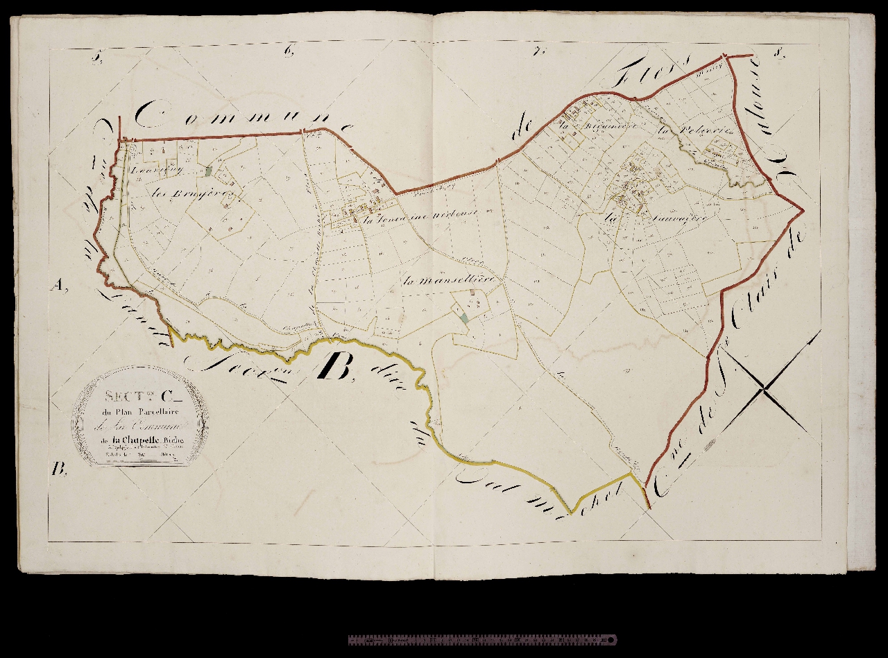 Section C