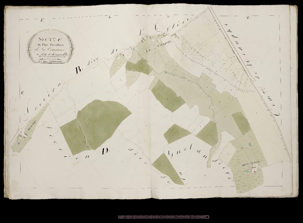 Section C