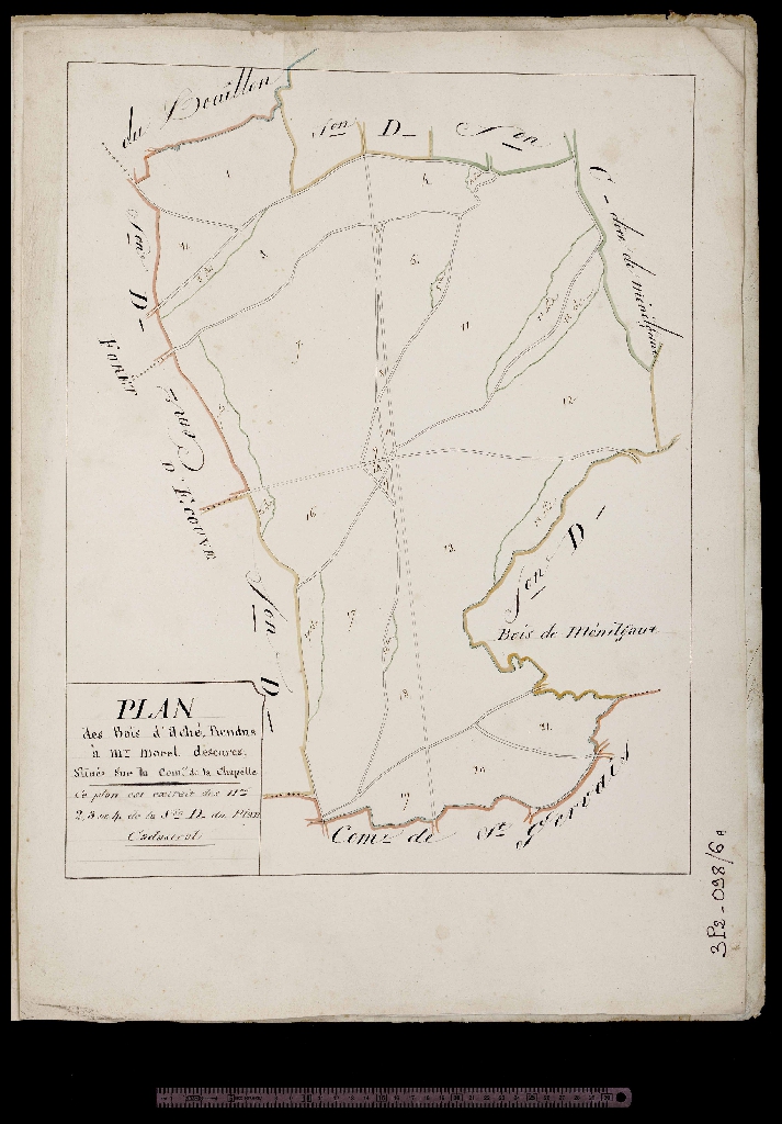 Plan extrait des numéros 2, 3 et 4 de la section D (plan des bois d'Aché vendus à M. Morel descures)