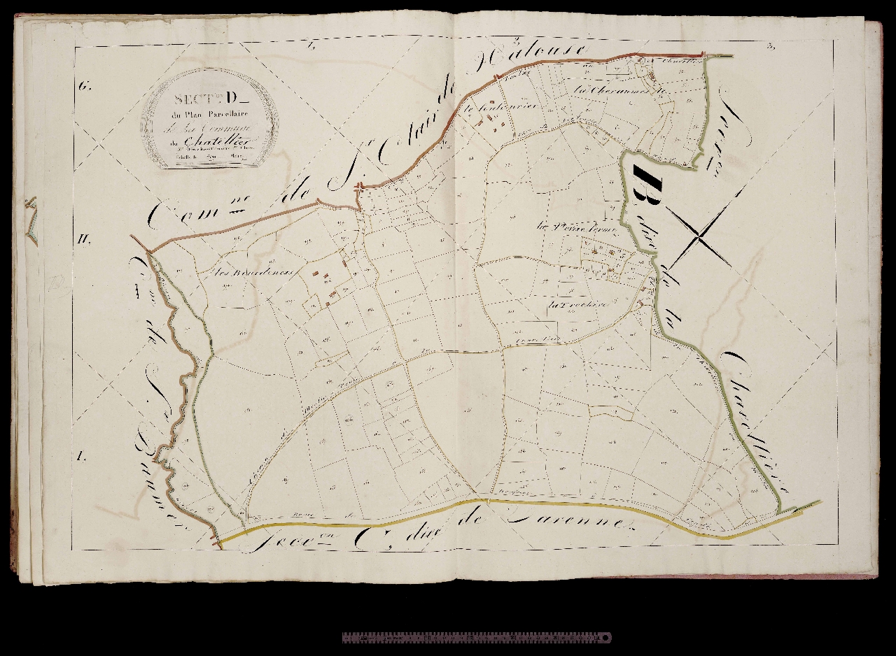 Section D