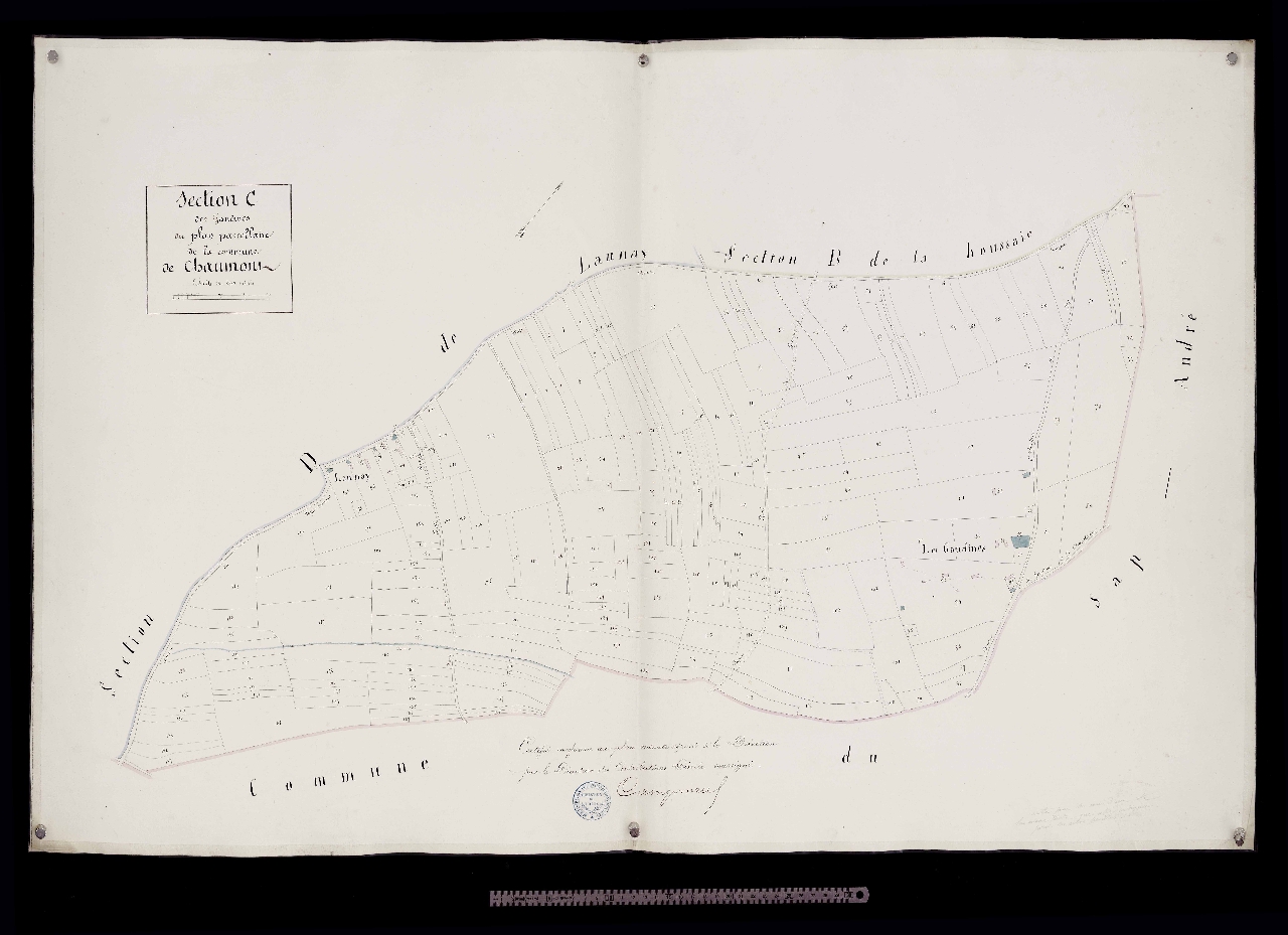 Section C
