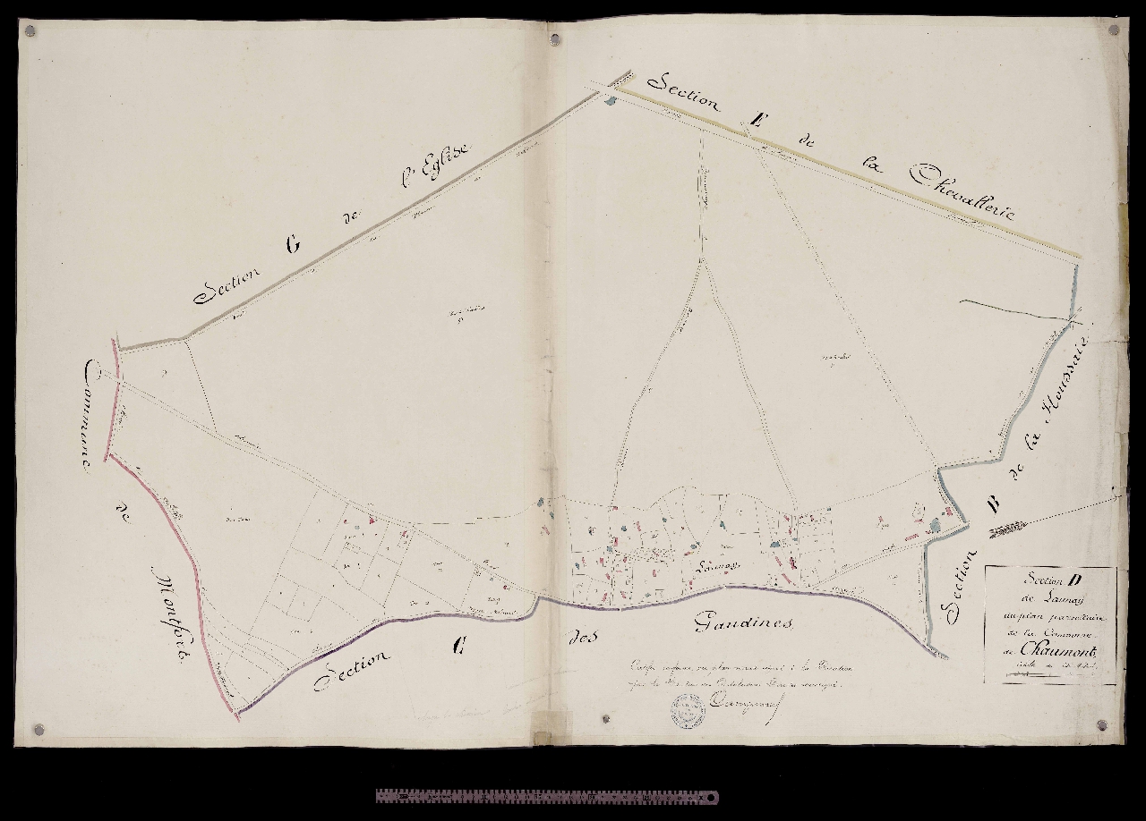 Section D