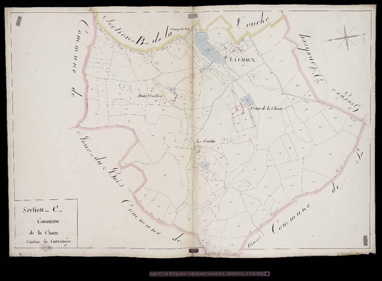Section C