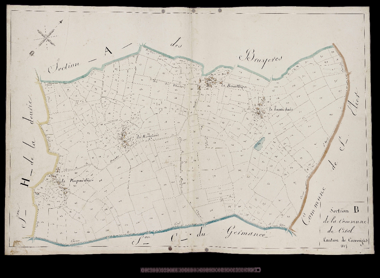 Section B