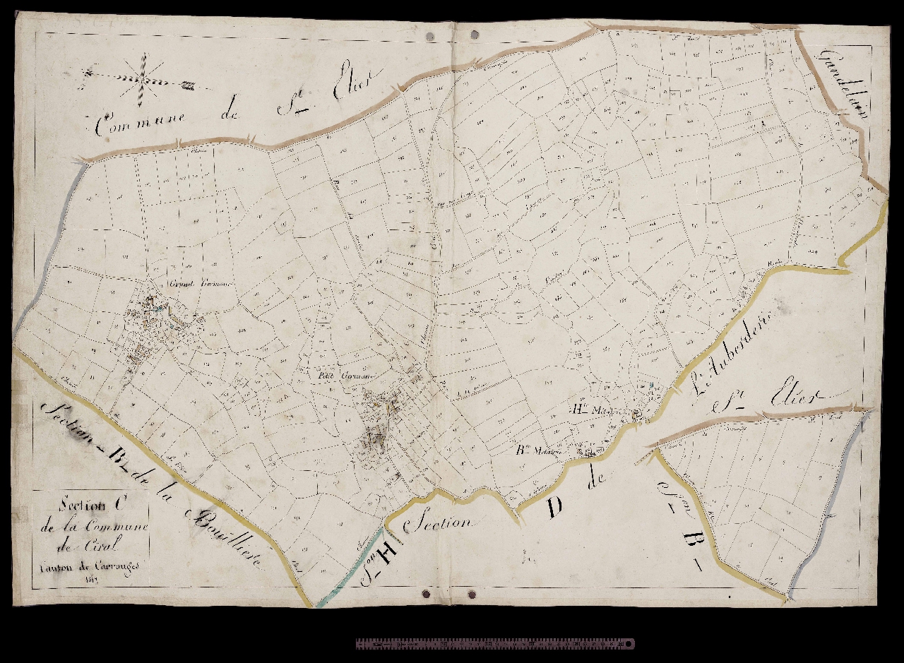 Section C