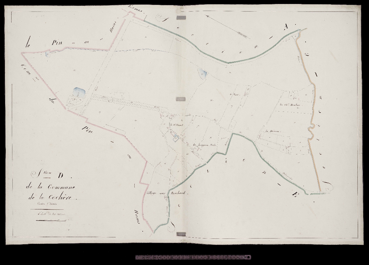 Section D