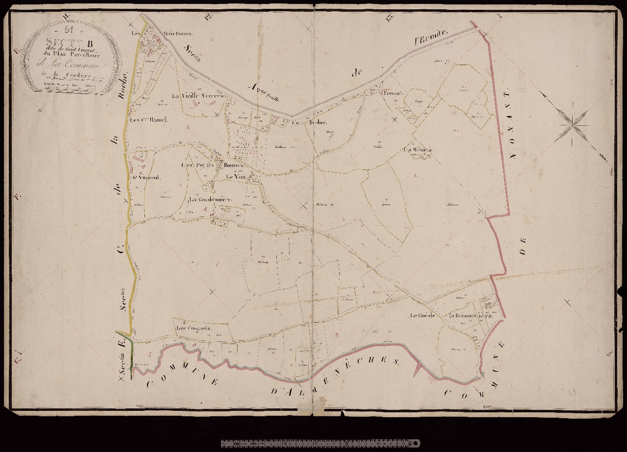 Section B
