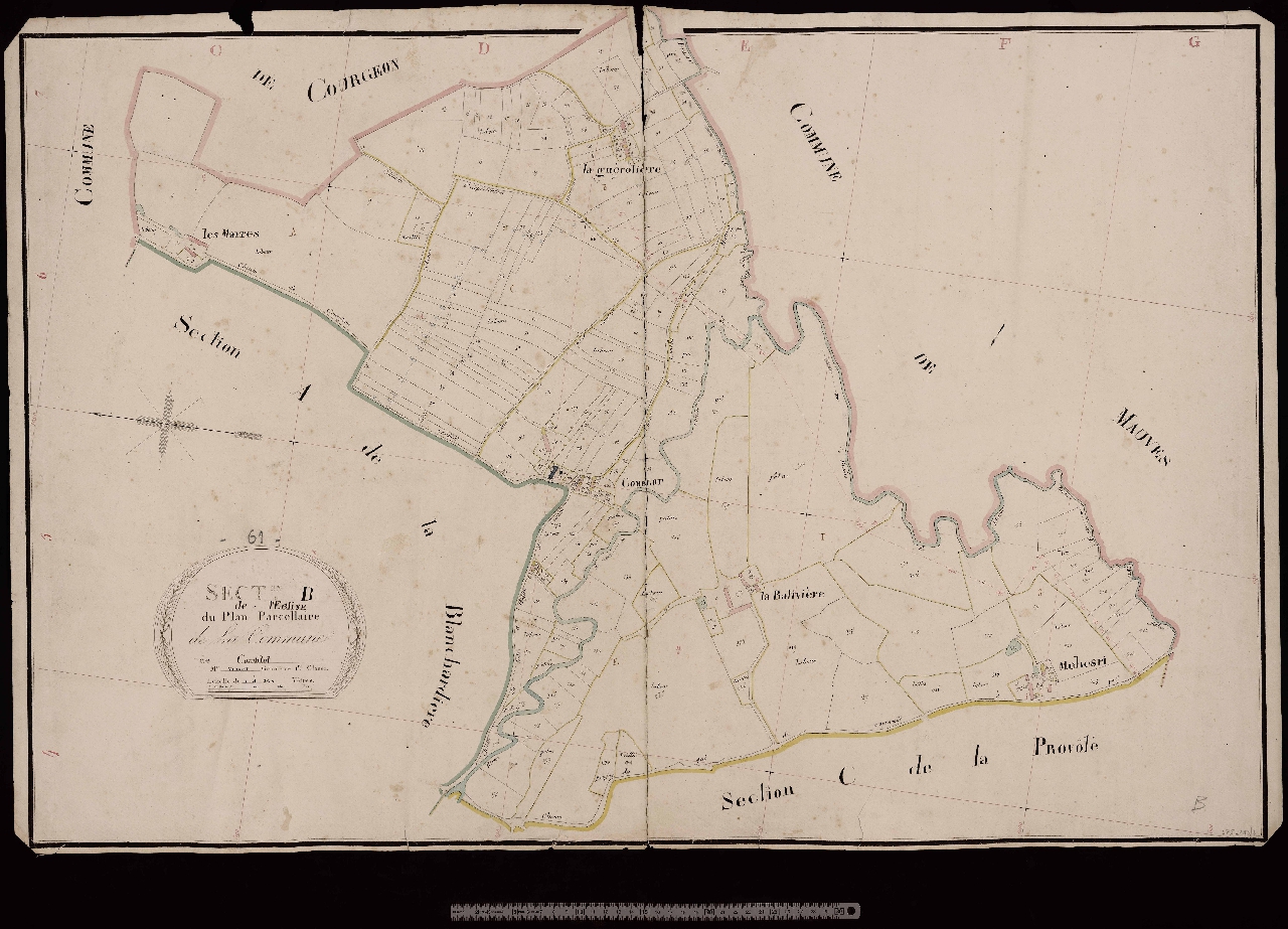 Section B