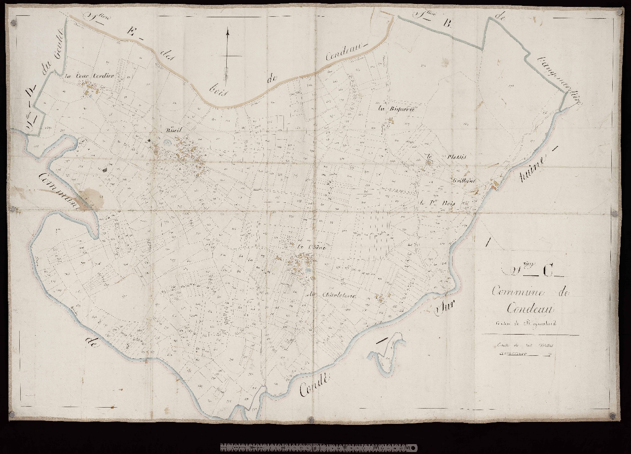 Section C
