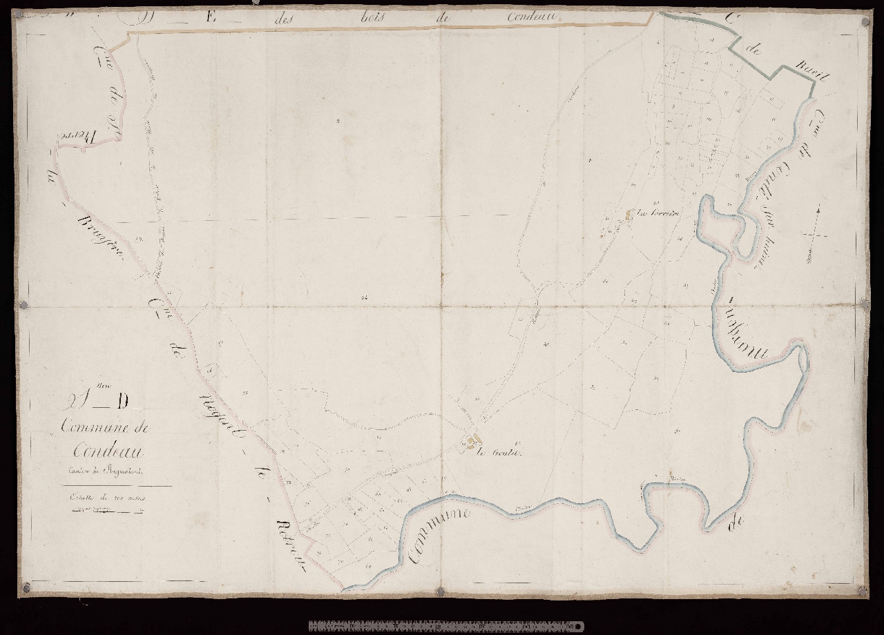Section D