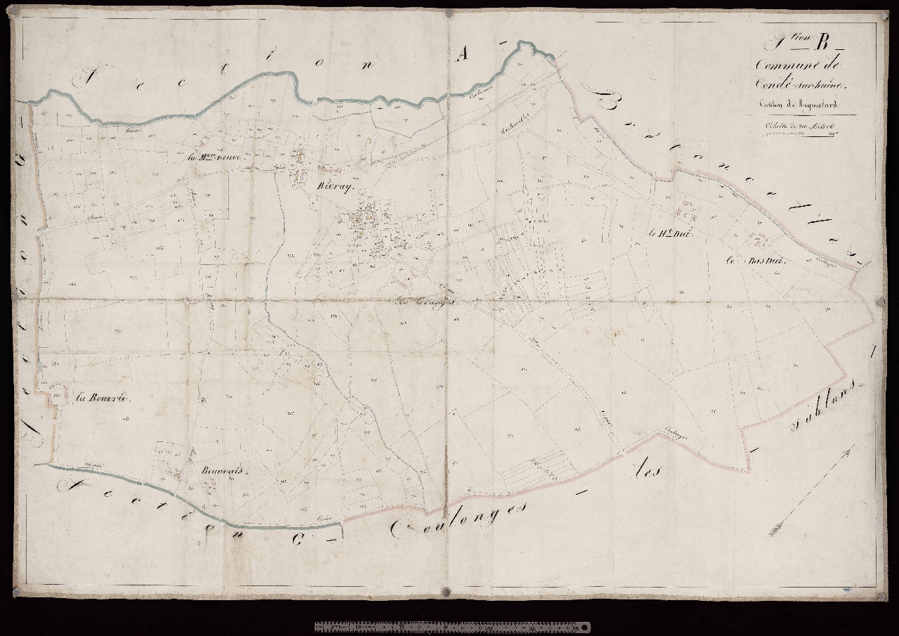 Section B