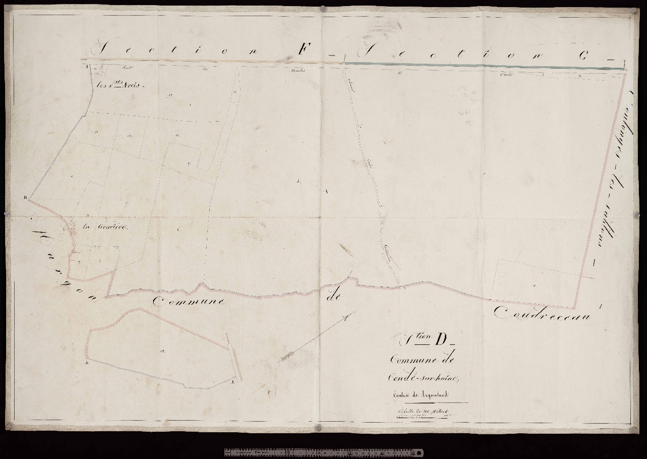 Section D