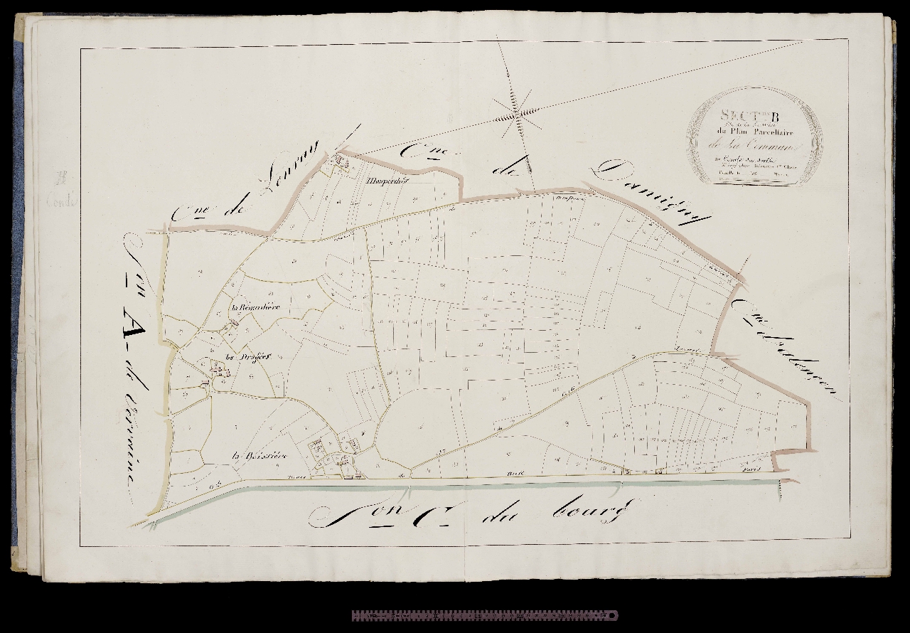 Section B